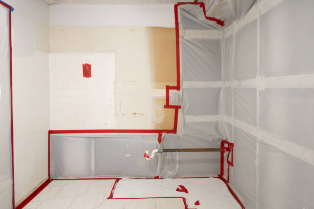 Best Mold Documentation for Insurance Claims  in Martinez, CA