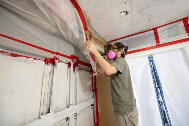 Best Post-Remediation Verification Testing  in Martinez, CA