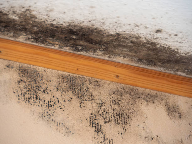 Best Indoor Air Quality Assessment  in Martinez, CA