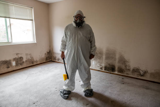 Best Mold Damage Restoration  in Martinez, CA